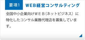 ＷＥＢ経営コンサルティング